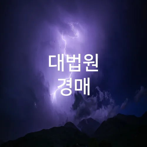 대법원 경매
