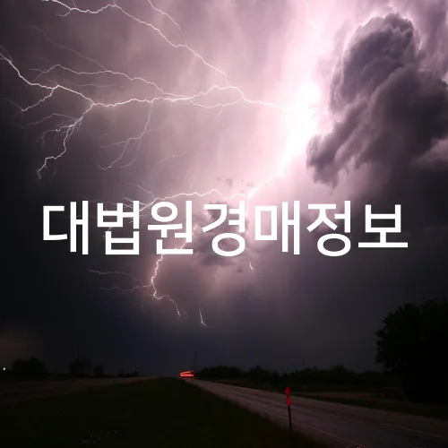대법원경매정보