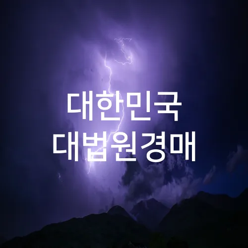 대한민국 대법원경매
