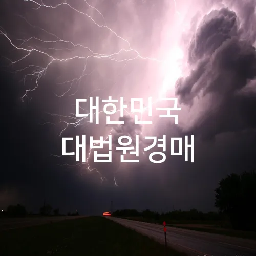 대한민국 대법원경매