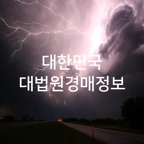 대한민국 대법원경매정보