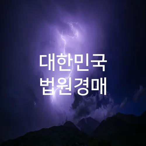 대한민국 법원경매