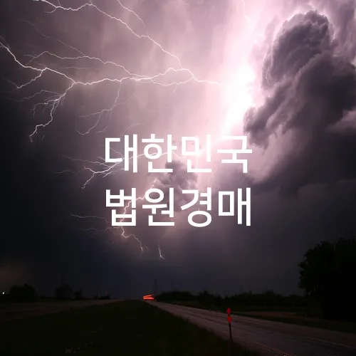 대한민국 법원경매