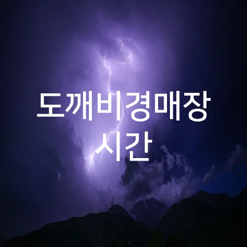도깨비경매장 시간