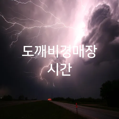 도깨비경매장 시간