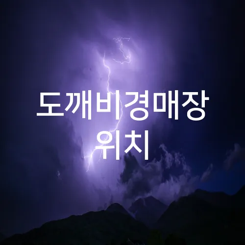도깨비경매장 위치