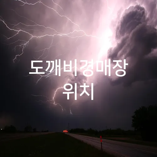 도깨비경매장 위치