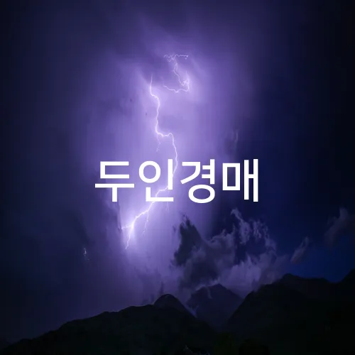 두인경매
