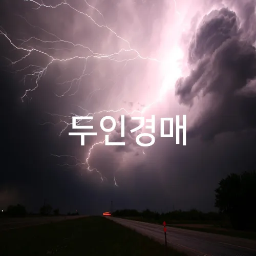 두인경매