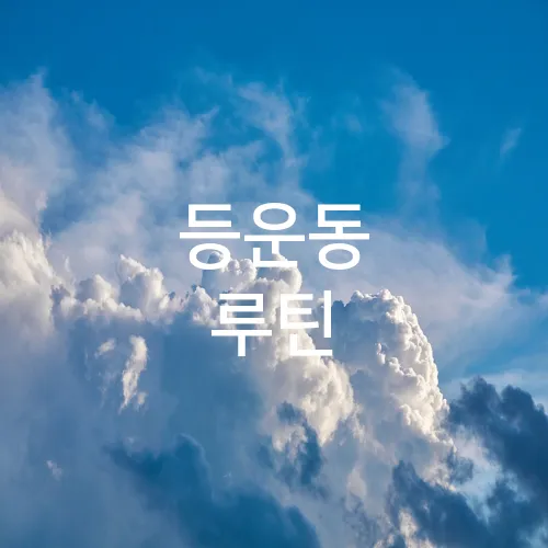 등운동 루틴