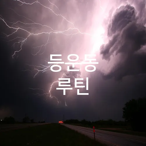 등운동 루틴