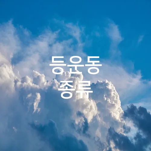 등운동 종류