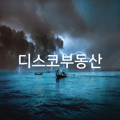 디스코부동산