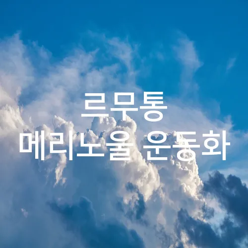 르무통 메리노울 운동화