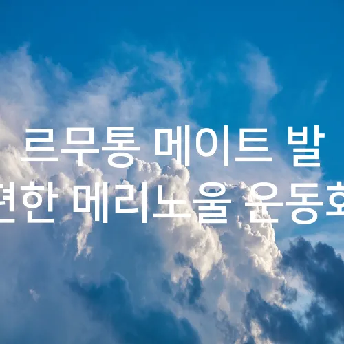 르무통 메이트 발 편한 메리노울 운동화