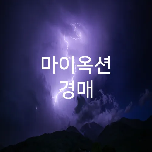 마이옥션 경매