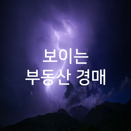 보이는 부동산 경매