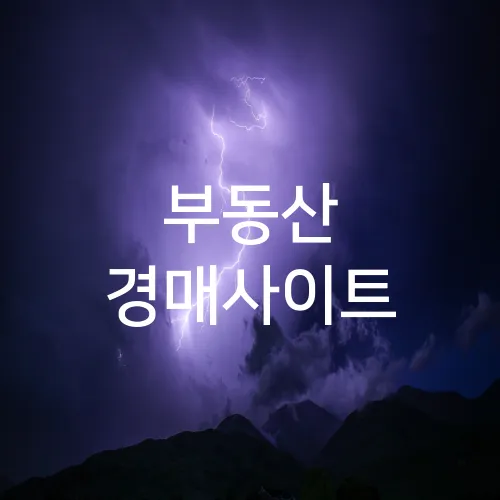 부동산 경매사이트