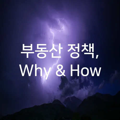 부동산 정책, Why & How