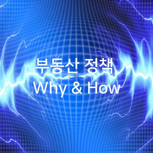부동산 정책, Why & How