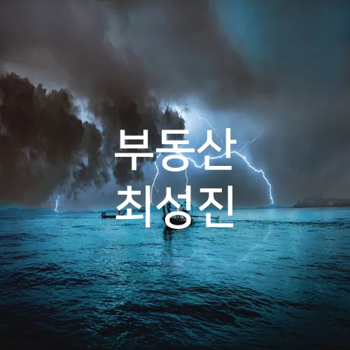 부동산 최성진