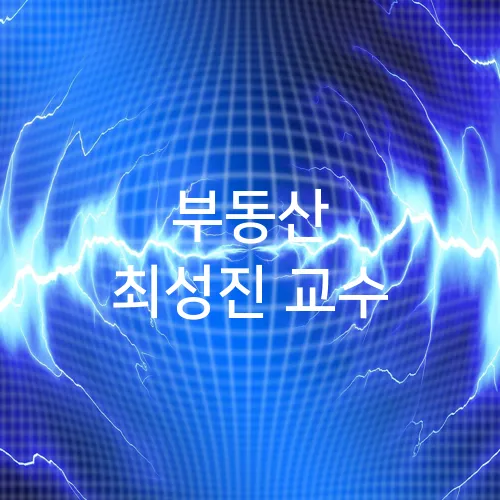 부동산 최성진 교수