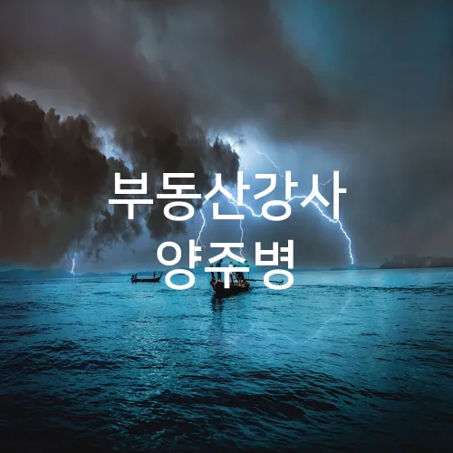 부동산강사 양주병