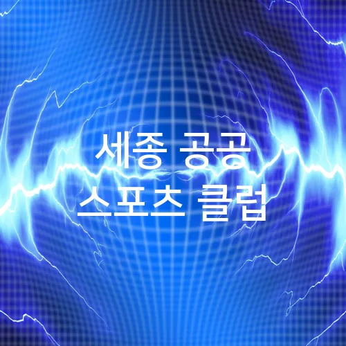 세종 공공 스포츠 클럽