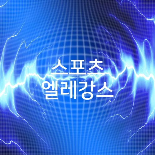 스포츠 엘레강스