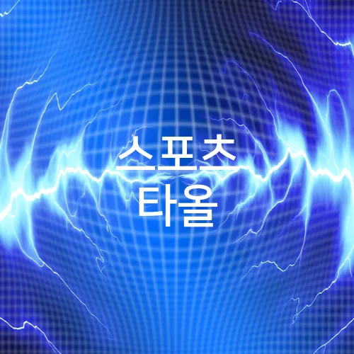 스포츠 타올