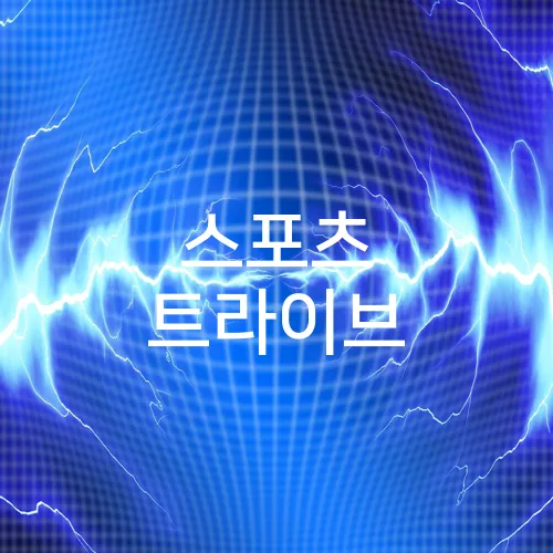 스포츠 트라이브
