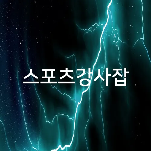 스포츠강사잡