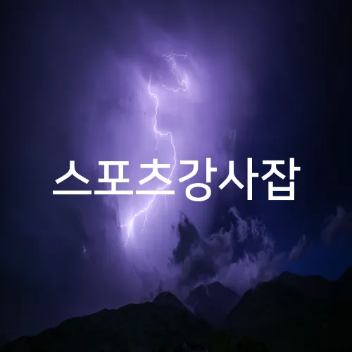 스포츠강사잡