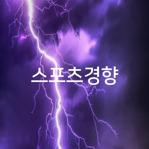 스포츠경향