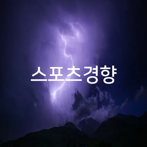 스포츠경향