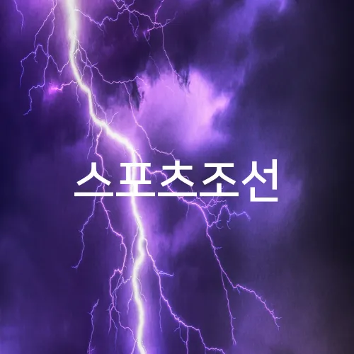 스포츠조선