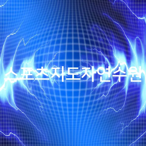 스포츠지도자연수원