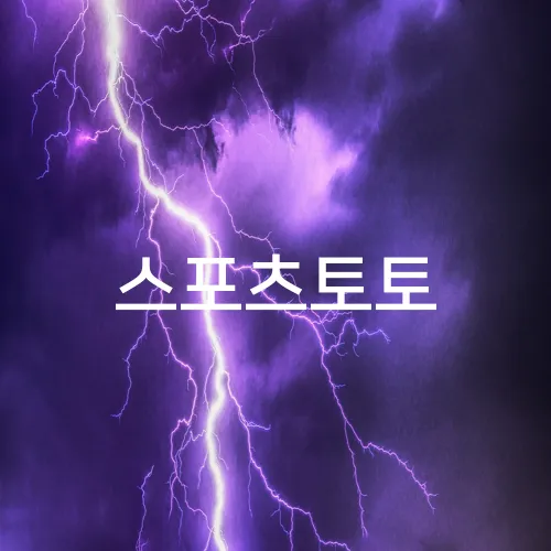 스포츠토토