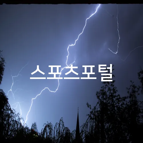 스포츠포털