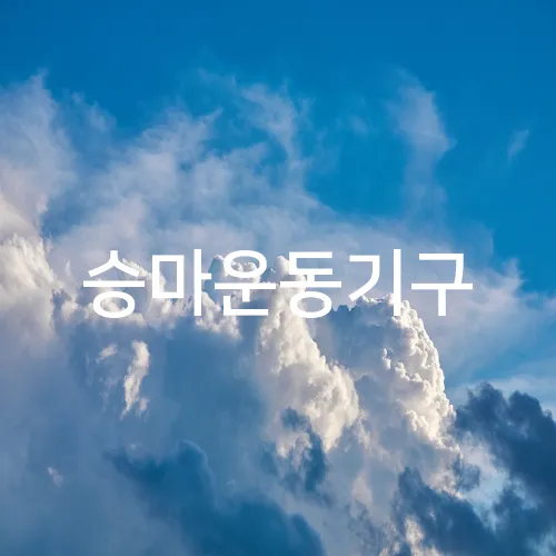 승마운동기구