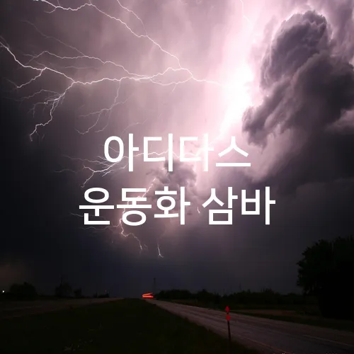 아디다스 운동화 삼바
