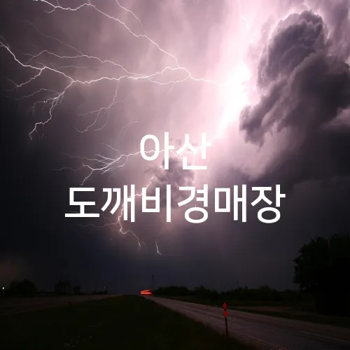 아산 도깨비경매장