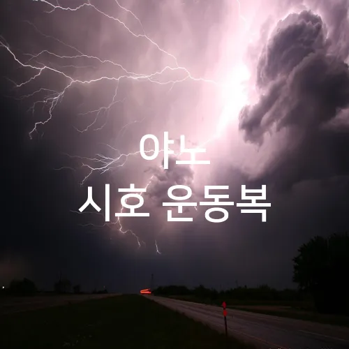 야노 시호 운동복
