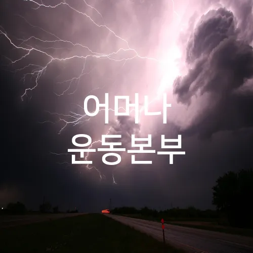 어머나 운동본부