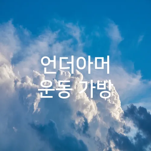 언더아머 운동 가방