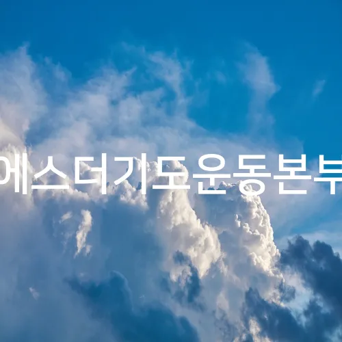 에스더기도운동본부