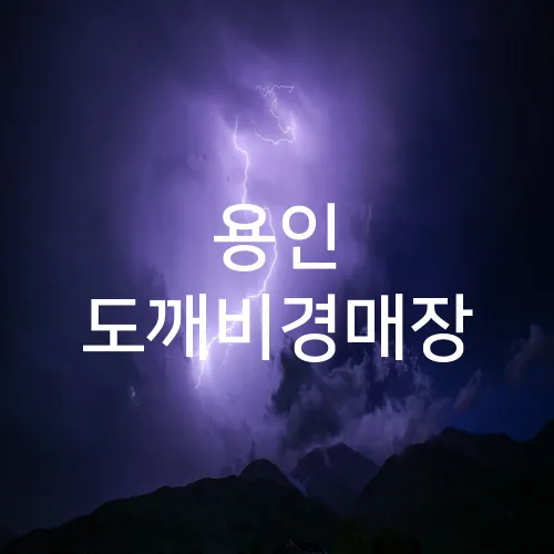 용인 도깨비경매장