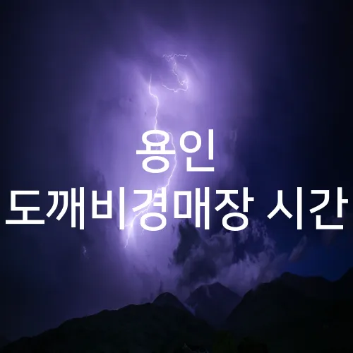 용인 도깨비경매장 시간