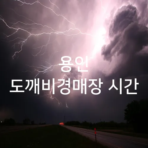 용인 도깨비경매장 시간