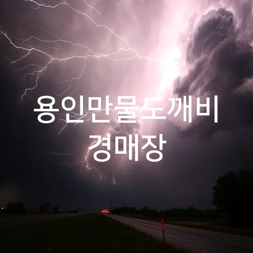 용인만물도깨비 경매장